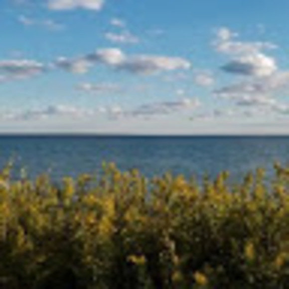 Meet your Posher, Andrea - Picture 1 of 1